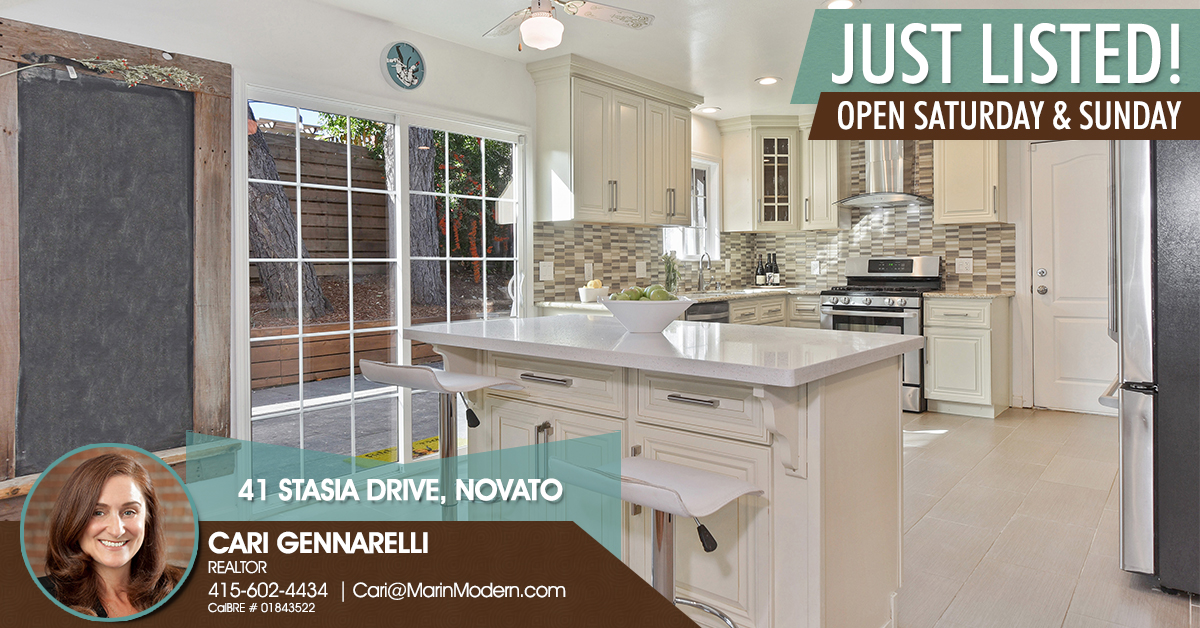 41 Stasia Drive Novato Just listed